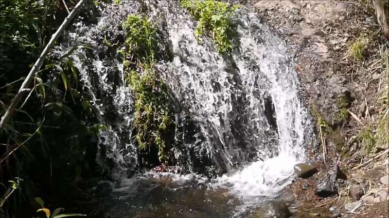 Paraje natural canario (Foto TA)